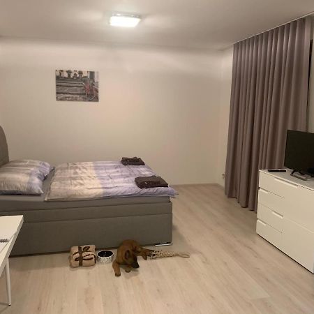 Modern Apartment In The City Center เปิลเซน ภายนอก รูปภาพ